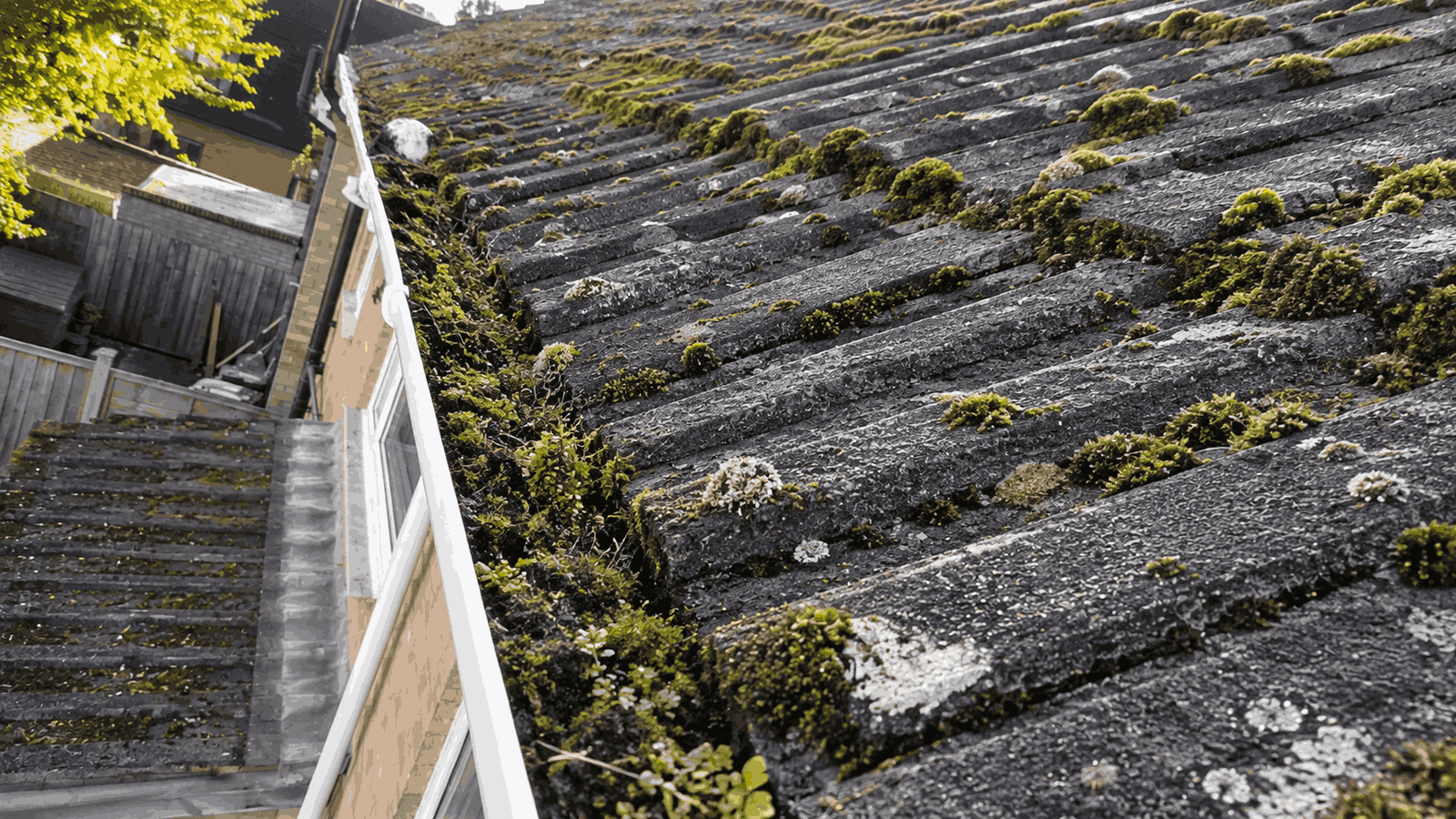 Before gutter cleaning - blocked gutter with debris showing neglected maintenance