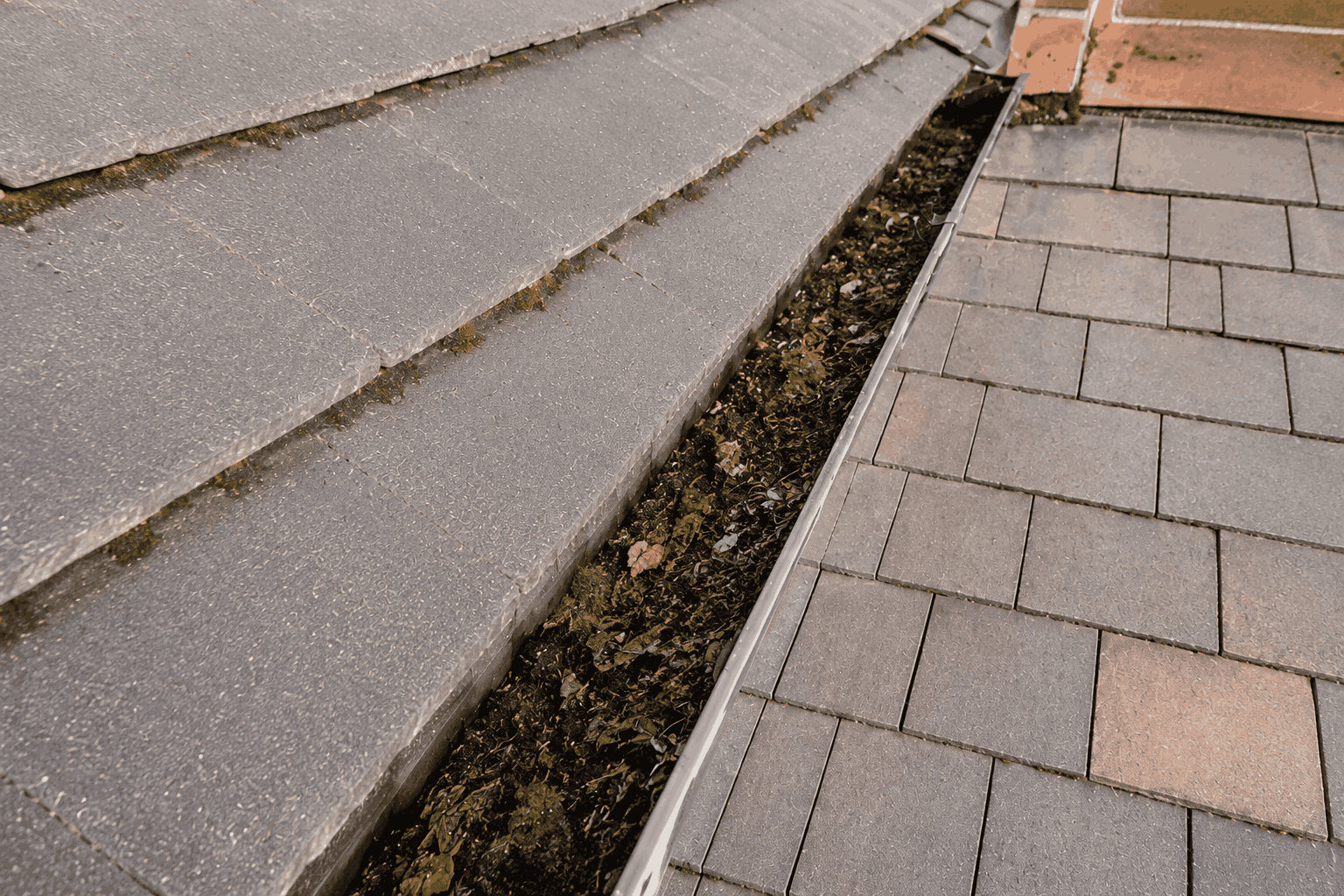 Gutter heavily blocked with weeds, moss and tree seedlings before vacuum clearing in Birmingham