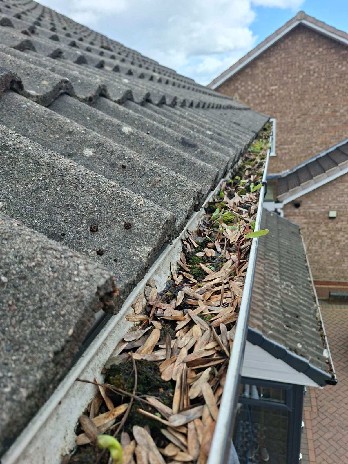 Ground-based gutter vacuum cleaning system cleaning a bungalow in Birmingham without ladders